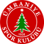 Ümraniyespor logo