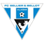 Vlašim logo