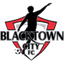 Blacktown City logo