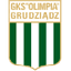 Olimpia Grudziądz logo