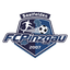 Pinzgau Saalfelden logo