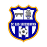 Bad Sauerbrunn logo