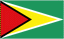 Guyana logo
