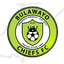Bulawayo Chiefs logo