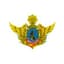 National Defense logo