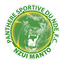 Panthère logo