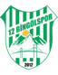 12 Bingölspor logo