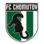 Chomutov logo