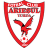 Arieşul Turda logo
