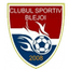 Blejoi logo