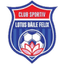 Sânmartin logo