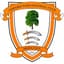 Ashford Town (Middlesex) logo