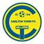Carlton Town logo