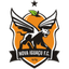 Nova Iguaçu logo