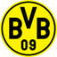 Borussia Dortmund U19 logo