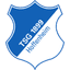 Hoffenheim U19 logo