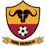 Young Buffaloes logo