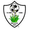 Brazil Juniors logo