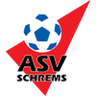 Schrems logo