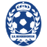 Denderhoutem logo