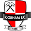 Cobham logo