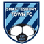 Shaftesbury Town logo