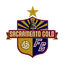 Sacramento Gold logo