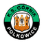 Górnik Polkowice logo