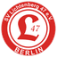 Lichtenberg logo