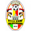Villa Valle logo