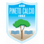 Pineto logo