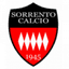 Sorrento logo