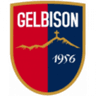 Gelbison logo