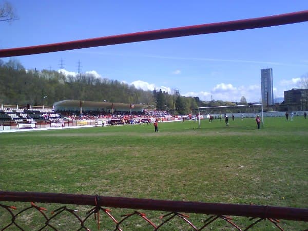 Minerul Lupeni venue
